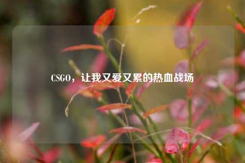 CSGO,让我又爱又累的热血战场