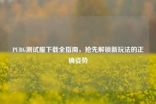 PUBG测试服下载全指南,抢先解锁新玩法的正确姿势