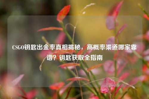 CSGO钥匙出金率真相揭秘,高概率渠道哪家靠谱?钥匙获取全指南