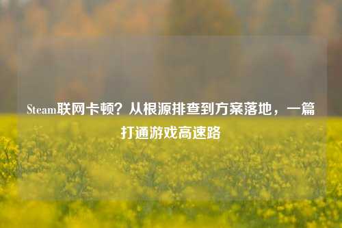 Steam联网卡顿?从根源排查到方案落地,一篇打通游戏高速路