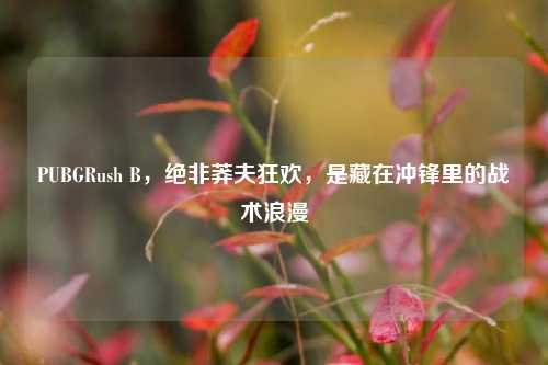 PUBGRush B,绝非莽夫狂欢,是藏在冲锋里的战术浪漫