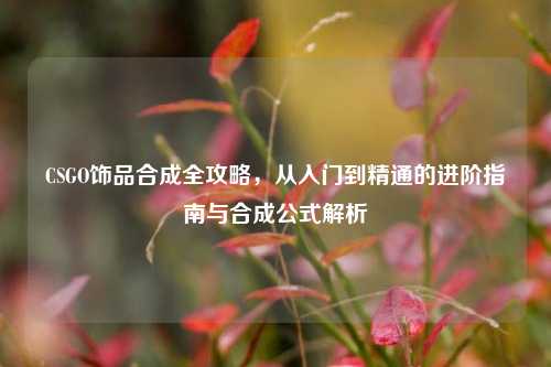 CSGO饰品合成全攻略,从入门到精通的进阶指南与合成公式解析