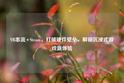 VR串流+Steam,打破硬件壁垒,解锁沉浸式游戏新体验