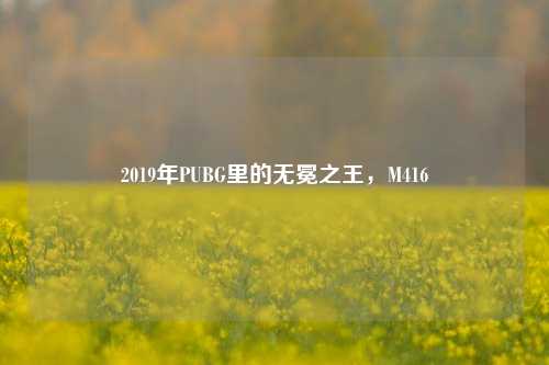 2019年PUBG里的无冕之王,M416
