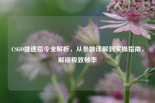 CSGO提速指令全解析,从参数详解到实操指南,解锁极致帧率