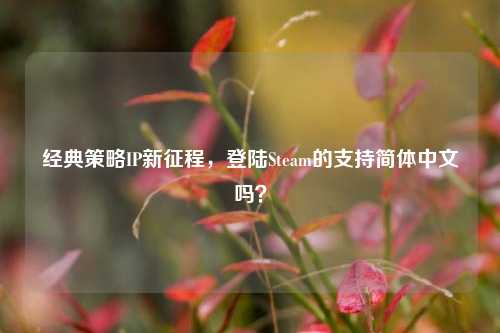 经典策略IP新征程,登陆Steam的支持简体中文吗?