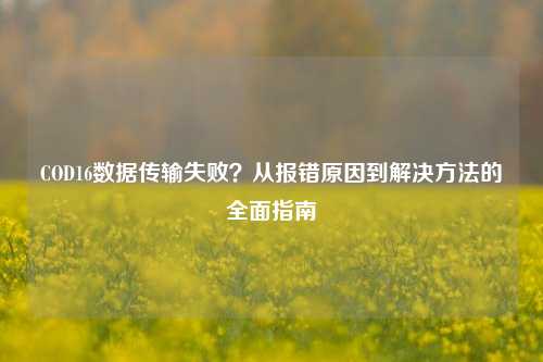 COD16数据传输失败?从报错原因到解决 的全面指南