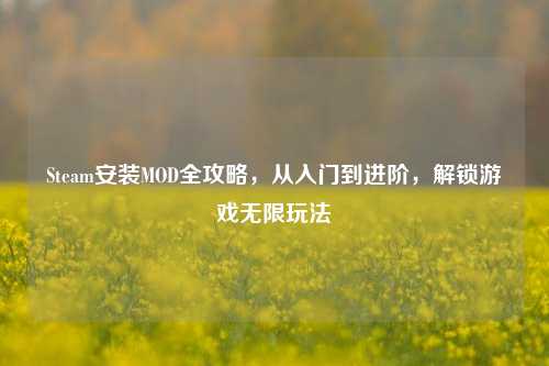 Steam安装MOD全攻略,从入门到进阶,解锁游戏无限玩法