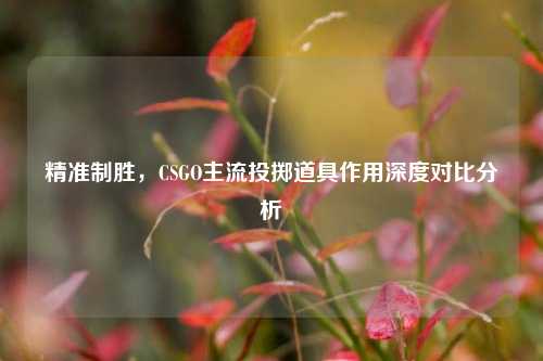 精准制胜,CSGO主流投掷道具作用深度对比分析