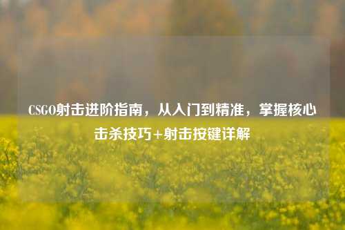 CSGO射击进阶指南,从入门到精准,掌握核心击杀技巧+射击按键详解