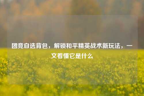 团竞自选背包,解锁和平精英战术新玩法,一文看懂它是什么