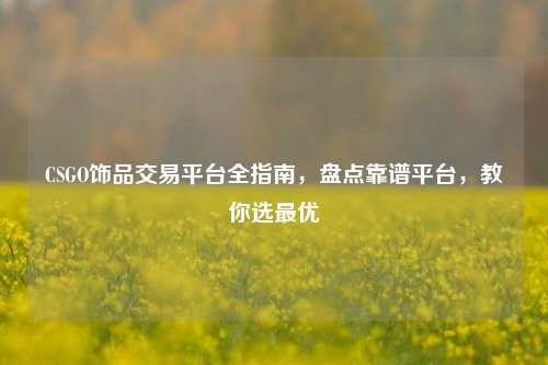 CSGO饰品交易平台全指南,盘点靠谱平台,教你选更优