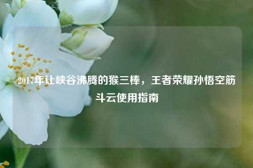 2017年让峡谷沸腾的猴三棒,王者荣耀孙悟空筋斗云使用指南