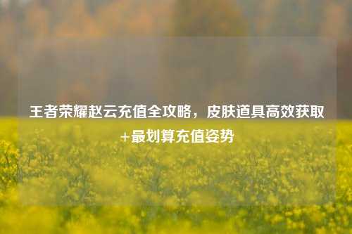 王者荣耀赵云充值全攻略,皮肤道具高效获取+最划算充值姿势