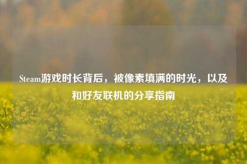 Steam游戏时长背后,被像素填满的时光,以及和好友联机的分享指南