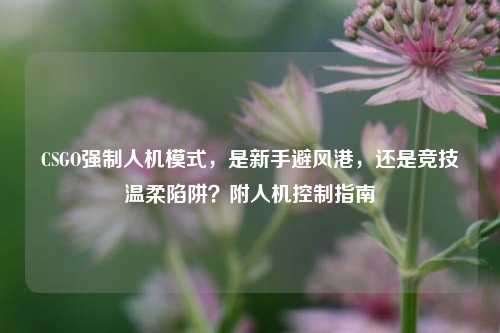 CSGO强制人机模式,是新手避风港,还是竞技温柔陷阱?附人机控制指南