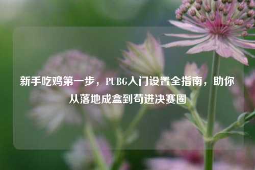 新手吃鸡之一步,PUBG入门设置全指南,助你从落地成盒到苟进决赛圈