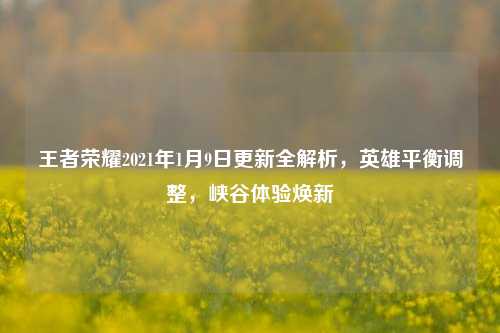 王者荣耀2021年1月9日更新全解析,英雄平衡调整,峡谷体验焕新