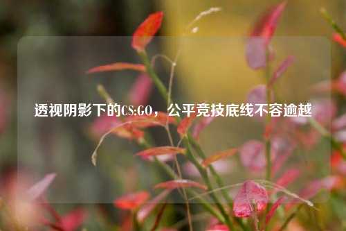 透视阴影下的CS:GO,公平竞技底线不容逾越
