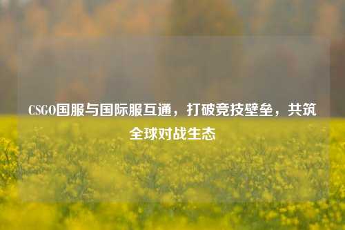 CSGO国服与国际服互通，打破竞技壁垒，共筑全球对战生态