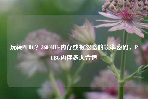 玩转PUBG?3600MHz内存或被忽略的帧率密码,PUBG内存多大合适