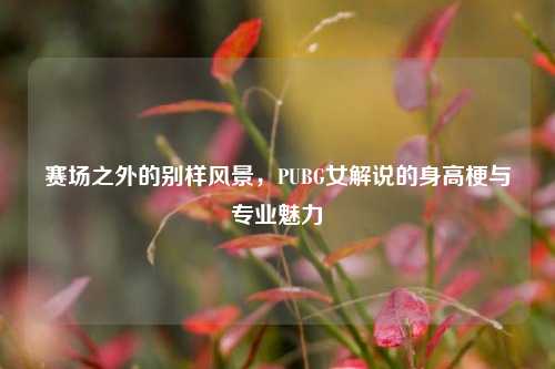 赛场之外的别样风景,PUBG女解说的身高梗与专业魅力
