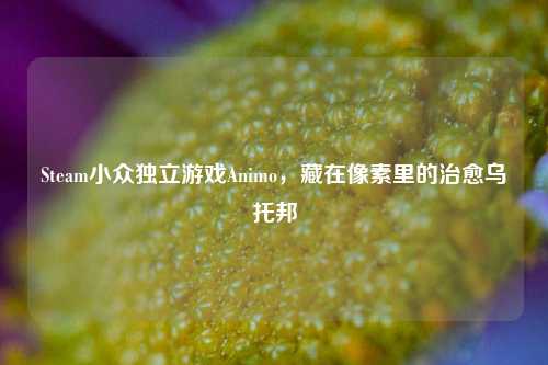 Steam小众独立游戏Animo,藏在像素里的治愈乌托邦