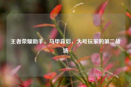 王者荣耀助手,马甲背后,大号玩家的第二战场