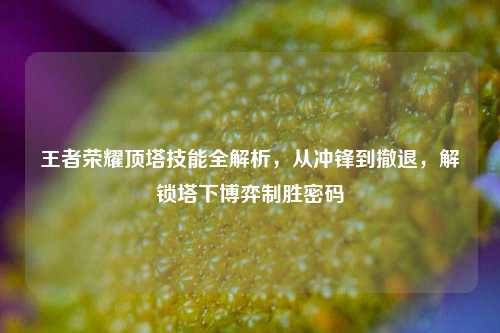 王者荣耀顶塔技能全解析,从冲锋到撤退,解锁塔下博弈制胜密码