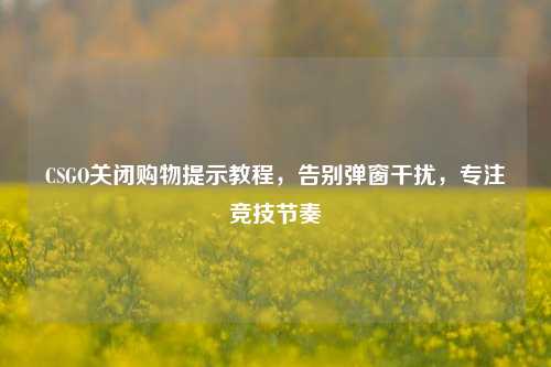 CSGO关闭购物提示教程,告别弹窗干扰,专注竞技节奏