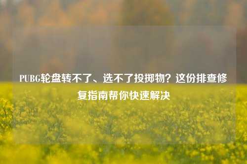 PUBG轮盘转不了、选不了投掷物?这份排查修复指南帮你快速解决