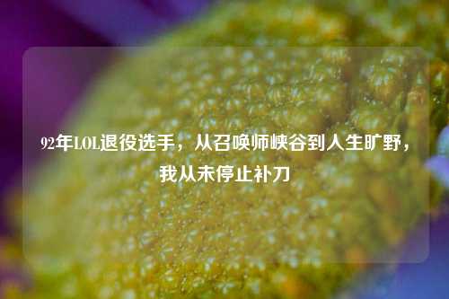 92年LOL退役选手,从召唤师峡谷到人生旷野,我从未停止补刀