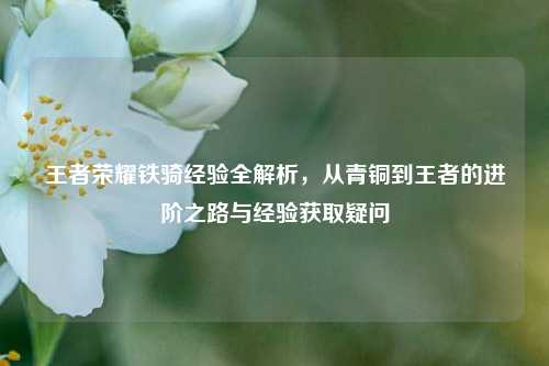 王者荣耀铁骑经验全解析,从青铜到王者的进阶之路与经验获取疑问