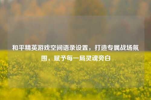 和平精英游戏空间语录设置,打造专属战场氛围,赋予每一局灵魂旁白