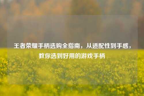 王者荣耀手柄选购全指南,从适配性到手感,教你选到好用的游戏手柄