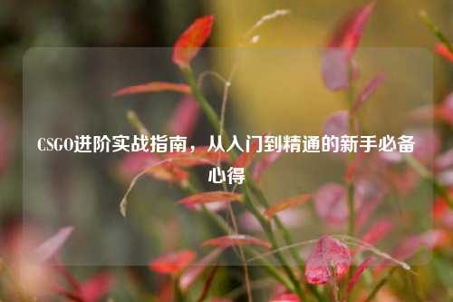 CSGO进阶实战指南,从入门到精通的新手必备心得