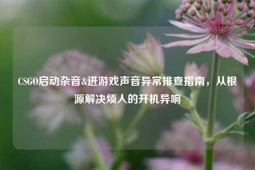 CSGO启动杂音&进游戏声音异常排查指南,从根源解决烦人的开机异响