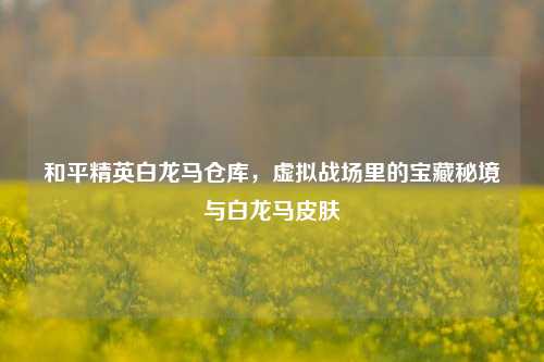 和平精英白龙马仓库,虚拟战场里的宝藏秘境与白龙马皮肤