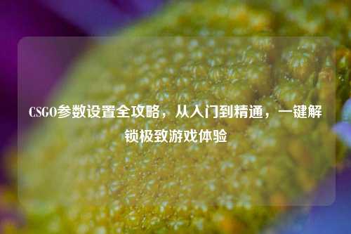 CSGO参数设置全攻略,从入门到精通,一键解锁极致游戏体验