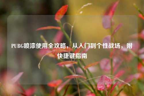 PUBG喷漆使用全攻略,从入门到个性战场,附快捷键指南