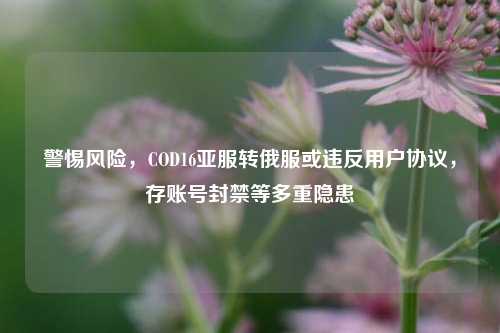 警惕风险,COD16亚服转俄服或违反用户协议,存账号封禁等多重隐患