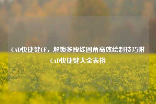 CAD快捷键CF,解锁多段线圆角高效绘制技巧附CAD快捷键大全表格