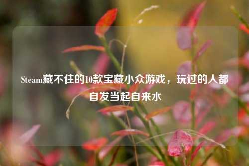 Steam藏不住的10款宝藏小众游戏,玩过的人都自发当起自来水