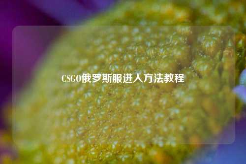 CSGO俄罗斯服进入 教程