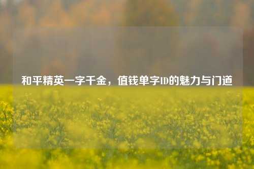 和平精英一字千金,值钱单字ID的魅力与门道