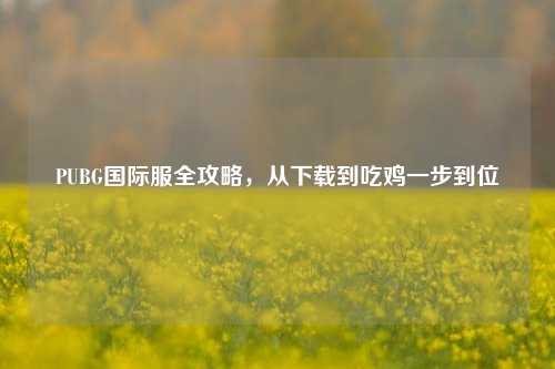 PUBG国际服全攻略,从下载到吃鸡一步到位