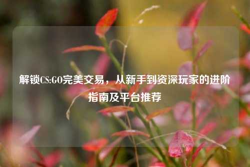 解锁CS:GO完美交易,从新手到资深玩家的进阶指南及平台推荐