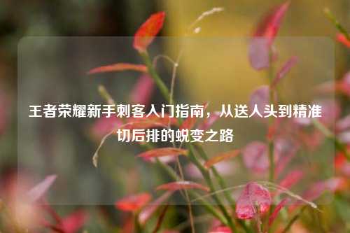 王者荣耀新手刺客入门指南，从送人头到精准切后排的蜕变之路