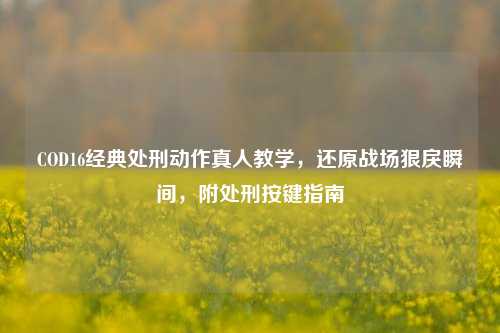 COD16经典处刑动作真人教学,还原战场狠戾瞬间,附处刑按键指南