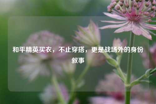 和平精英买衣,不止穿搭,更是战场外的身份叙事